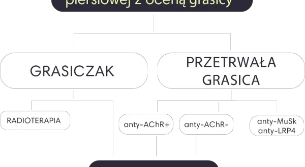 Schemat diagnostyki i leczenia miastenii: grasiczak, przetrwała grasica, radioterapia, tymektomia, przeciwciała anty-AChR, anty-MuSk, anty-LRP4.
